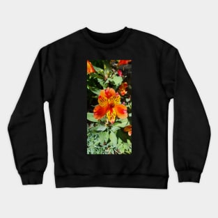 Red, Yellow and Orange Alstromeria Crewneck Sweatshirt